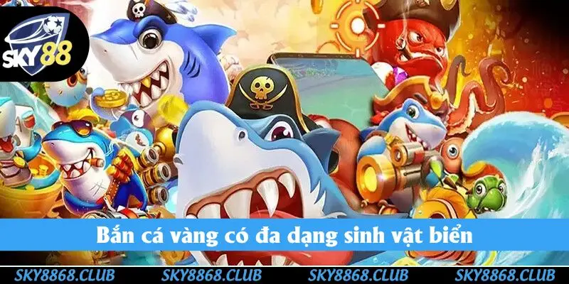 Bắn cá vàng có đa dạng sinh vật biển