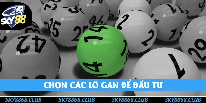 Cách đánh lô dễ trúng bắt con gan 30 ngày
