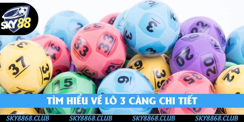 Lô 3 Càng - SKY88 Nêu Khái Niệm Và Đặc Điểm Cụ Thể