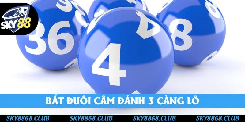 Qua soi cầu đuôi câm bắt lô 3 càng chuẩn